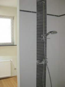 Flat 2 Shower and vestiare